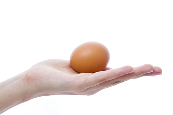 Female hand with a brown chicken egg — Stock Photo, Image