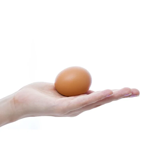 Female hand with a brown chicken egg — Stock Photo, Image