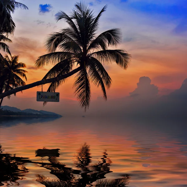 Palmen Silhouetten auf dem bunten Himmel Hintergrund mit Reflex — Stockfoto