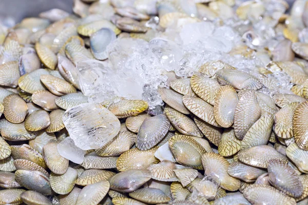 Fresh mussels on ice exposition at the seafood market in Thailan — Stock Photo, Image