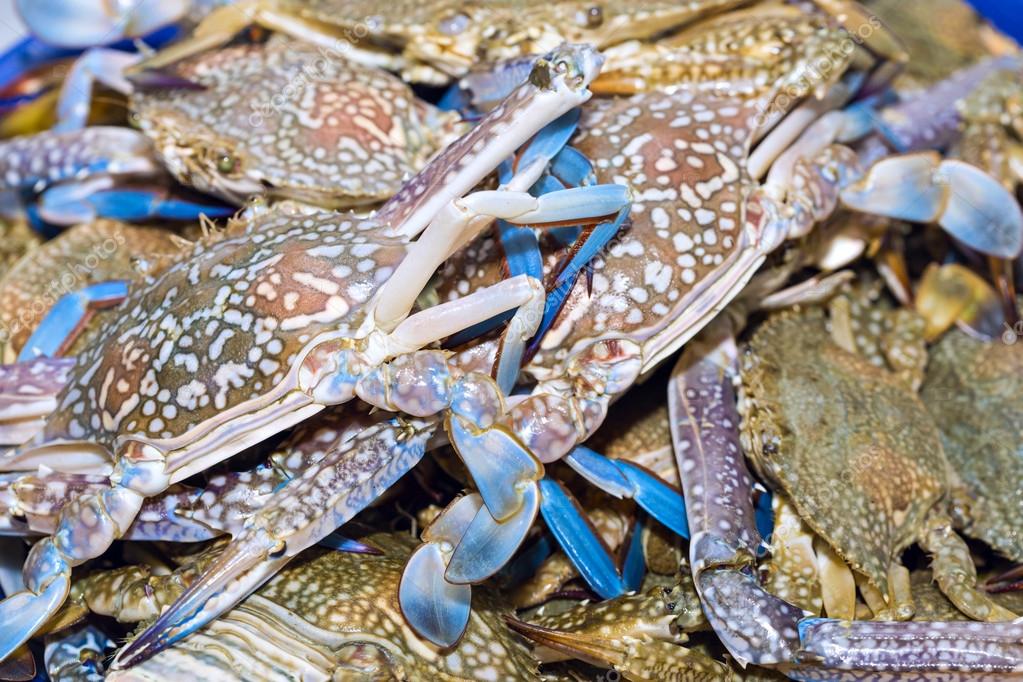 Fresh blue crabs on ice exposition at the seafood market In Thai