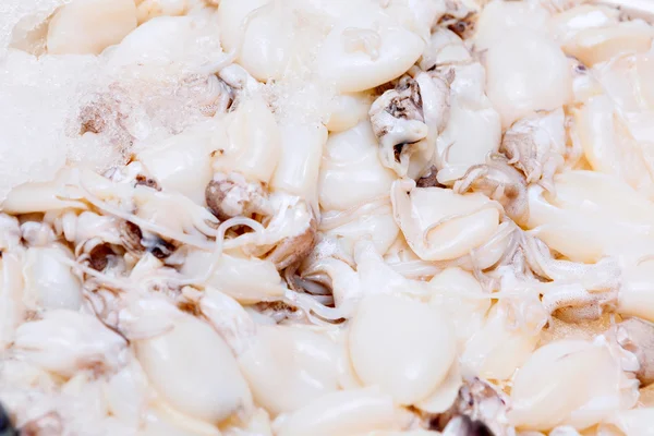 Fresh squid heap close up at the seafood market — Stock Photo, Image