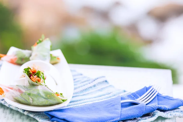 Vietnamese spring rolls with vegetables and coriander on a plate — Stock Photo, Image