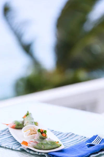 Rollos de primavera vietnamitas con verduras y cilantro en un plato — Foto de Stock