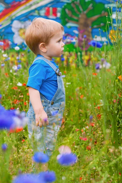 楽しい時間を過ごしている花のフィールドでかわいい小さな男の子 — ストック写真