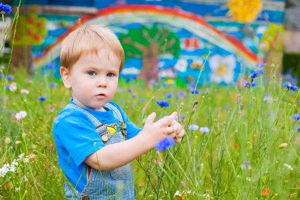 楽しい時間を過ごしている花のフィールドでかわいい小さな男の子 — ストック写真