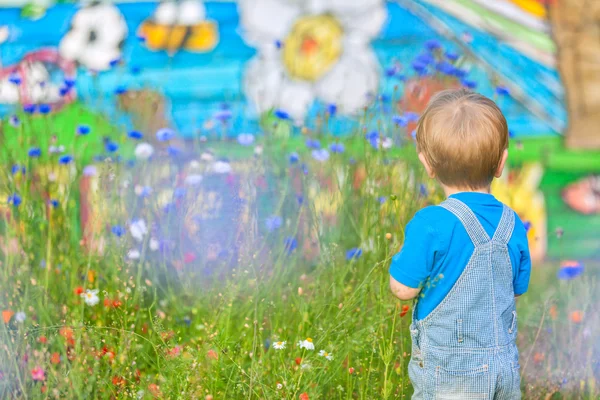 花のフィールドでかわいい小さな男の子 — ストック写真