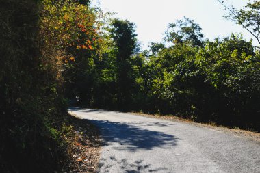 Boş dağ yolu Himalaya, Rishikesh, Hindistan içinde