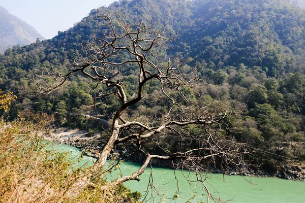 Nézd Ganga és Rishikesh, indiai szent hely, jóga egy fővárosában — Stock Fotó