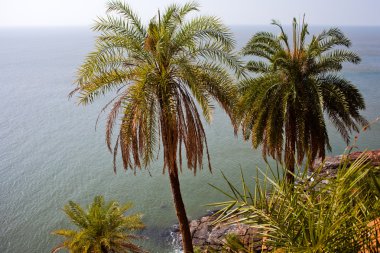 Okyanusa güzel engebeli sahil şeridi Gokarna tropikal görünüm