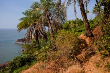 Okyanusa güzel engebeli sahil şeridi Gokarna tropikal görünüm