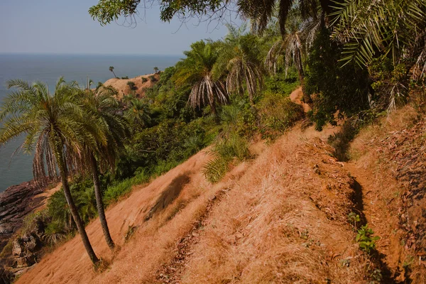 Vista tropicale sull'oceano, bellissima costa collinare a Gokarna — Foto Stock