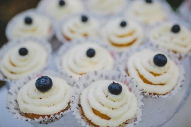 Plaka üstünde belgili tanımlık tepe blueberry ile cupcakes