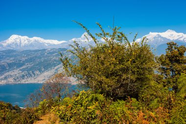 Phewa Gölü ve Annapurna dağ manzarası