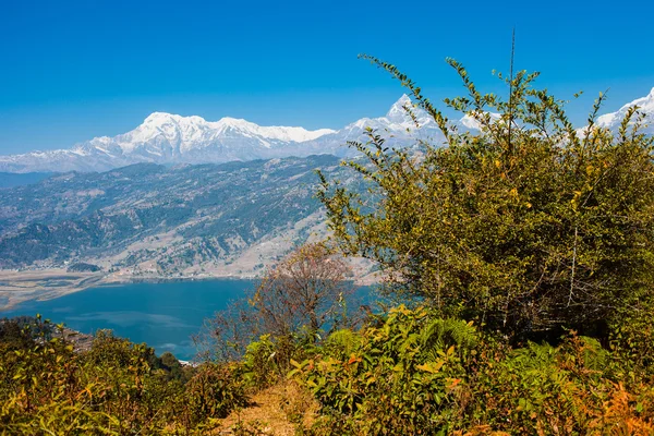 Phewa Gölü ve Annapurna dağ manzarası