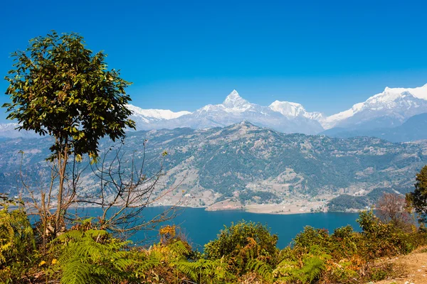 Phewa Gölü ve Annapurna dağ manzarası — Stok fotoğraf