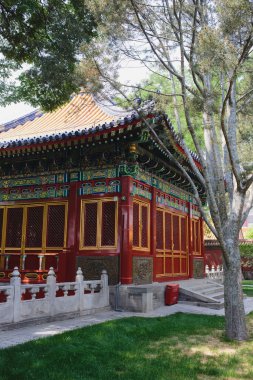 Çin Pekin yasak şehir