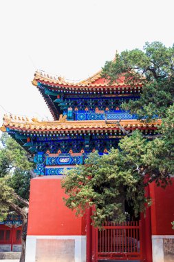 Konfüçyüs Tapınağı, Beijing, Çin