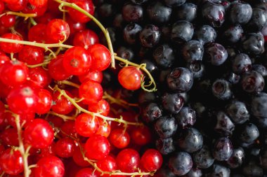 siyah ve kırmızı çilek (böğürtlen ve kırmızı cur bir arada