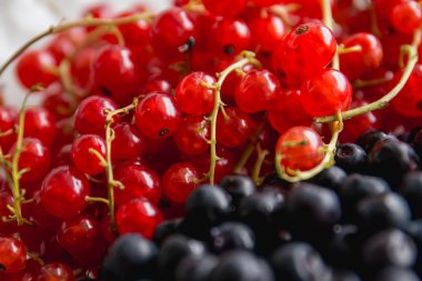 siyah ve kırmızı çilek (böğürtlen ve kırmızı cur bir arada
