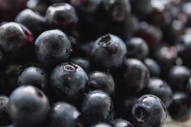 yaban mersini yakın çekim, doğal ışık