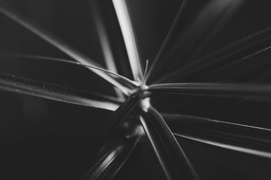 Arka plan bulanıklık ile doku doğa