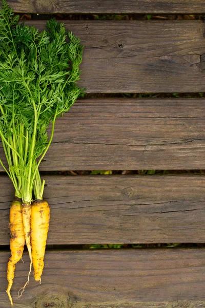 Fresh Organic Carrots Wooden Table — Stock Photo, Image