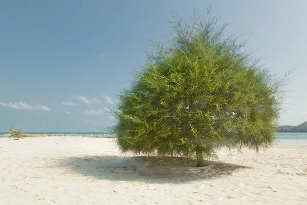 Малібу пісок пляжу на острові Ко Пханган в Таїланді — стокове фото