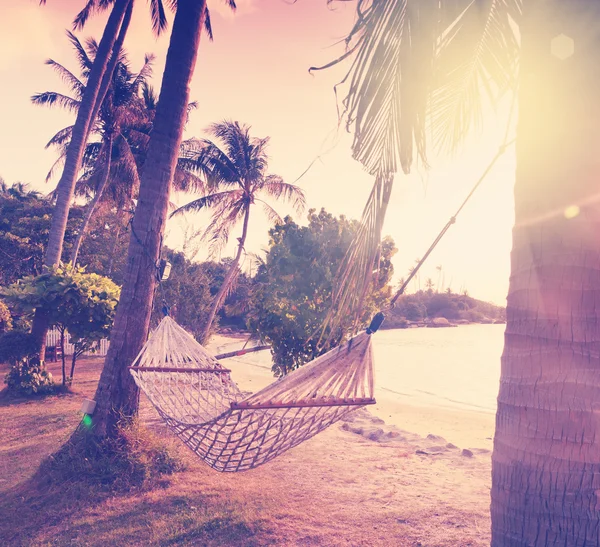 hammock on the shore of a tropical beach at sunset