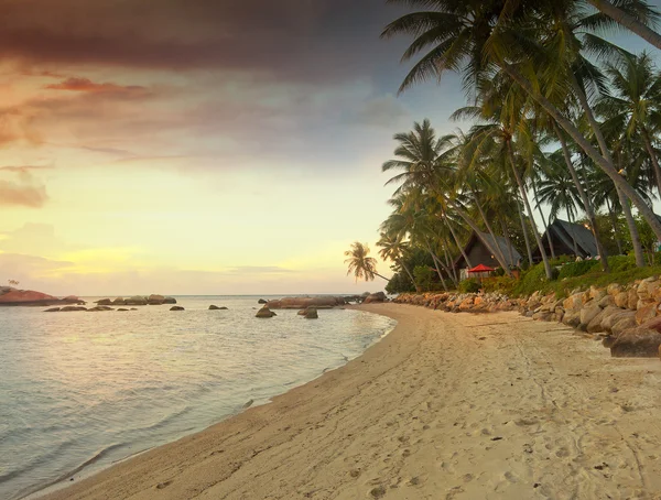 Приголомшливо спокійний піщаний пляж захід сонця з зеленим листям і ст — стокове фото