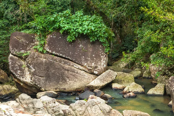 在热带丛林中的小山河。美丽明亮的拉 — 图库照片
