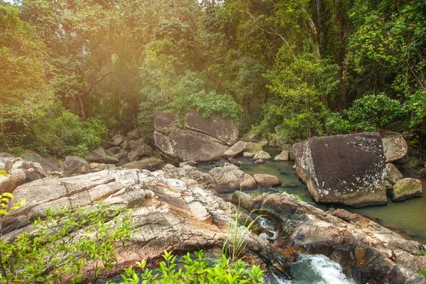 在热带丛林中的小山河。美丽明亮的拉 — 图库照片