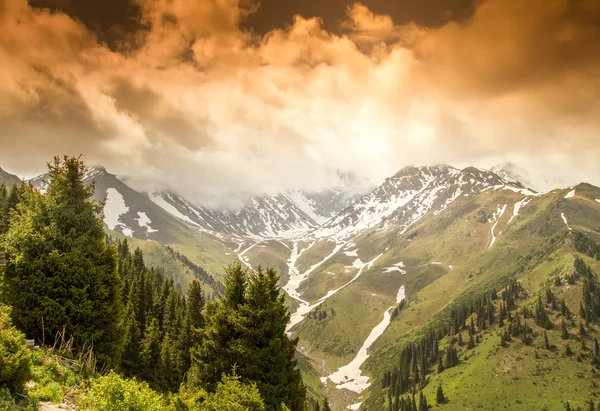 Bela paisagem de montanha ao pôr do sol. picos nevados, campo verde — Fotografia de Stock