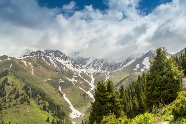 美しい山の風景。雪のピーク、緑の野原と重装備 — ストック写真
