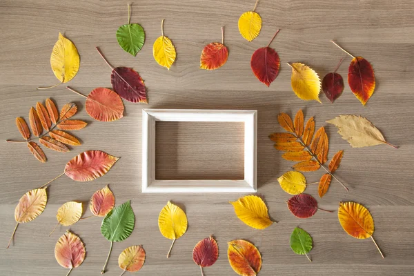 与多彩的秋天的木桌上的白框叶、 业务 — 图库照片