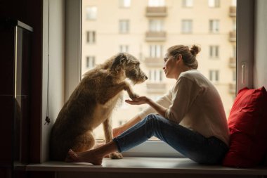 Evde tüylü köpeği olan genç bir kadın şehre tepeden bakan bir pencere eşiğinde oturuyor. Kendini izole etme, karantina. Hayvanlar için sevgi, neşe ve şefkat