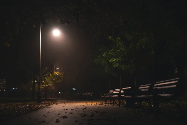 Алея Лавками Осінньому Парку Вночі Світлом Ліхтарів — стокове фото