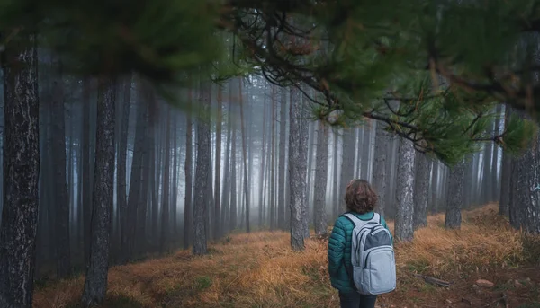 Woman Traveler Backpack Standing Autumn Misty Wet Pine Forest Walking — Stock Photo, Image