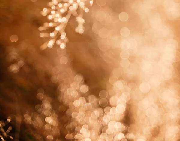 Bellissimo Sfondo Festivo Astratto Texture Bokeh Dorato Abbagliamento — Foto Stock