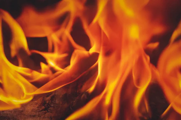 Φωτεινή Καυτή Φλόγα Της Φωτιάς Αφηρημένο Φόντο Και Υφή Close — Φωτογραφία Αρχείου