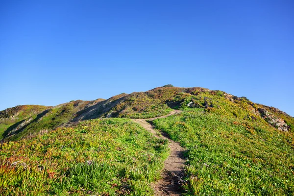 在蓝天的映衬下 穿越青山的小径 美丽明媚的春夏风景背景和质感 — 图库照片