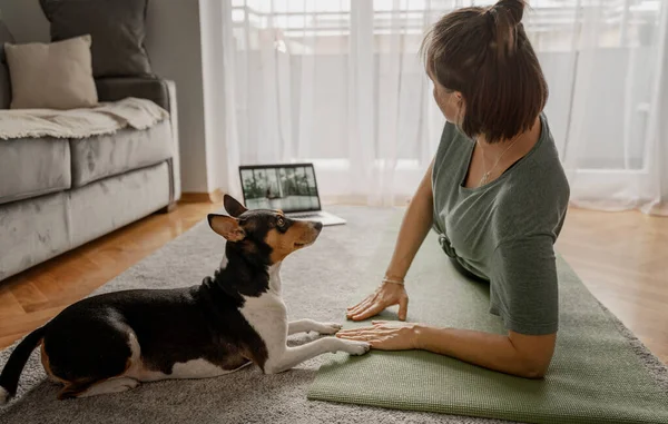 Vidám Gyönyörű Gyakorló Jóga Otthon Online Szőnyegen Jóga Társ Kutyájával — Stock Fotó