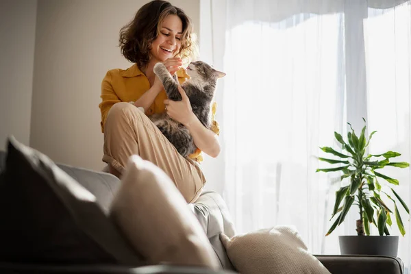 Schöne Fröhliche Junge Frau Mit Einer Niedlichen Grauen Katze Arm — Stockfoto