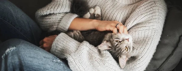 Beautiful Gray Fluffy Cat Sitting Arms Woman Warm Cozy Sweater — Stock Photo, Image