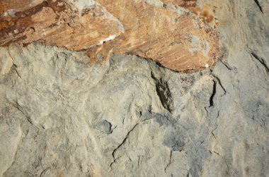 Doğal taşın yüzeyi ve dokusu. Tasarım için güzel soyut arkaplan ve doku