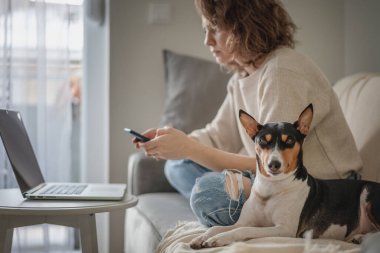 Mutlu genç bir kadın evinde kanepede oturuyor. Elinde bir cep telefonu ve evcil köpeği var. 