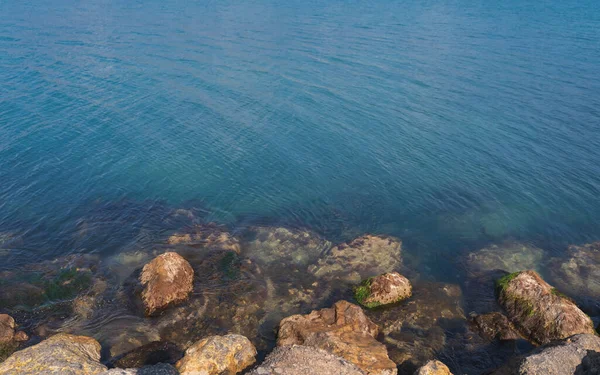 Mit Algen Bedeckte Steine Meeresufer Mit Klarem Transparentem Wasser Nahaufnahme — Stockfoto