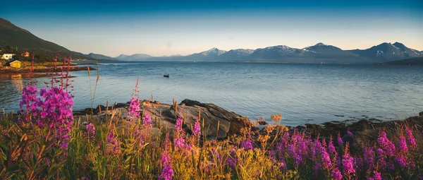 Bellissimo Paesaggio Della Riva Del Mare Tromso Novergia Fiorente Paesaggio — Foto Stock