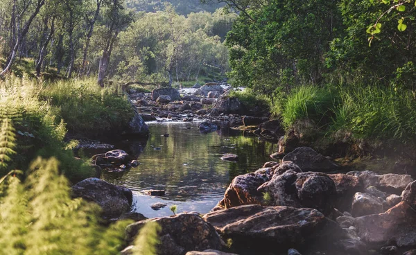 Rio Montanha Lindas Paisagens Florestais Verão Natureza Nos Países Skagdinavos — Fotografia de Stock