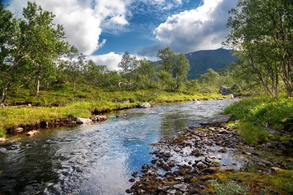 Rivière Mountain Beau Paysage Forestier Été Nature Dans Les Pays — Photo